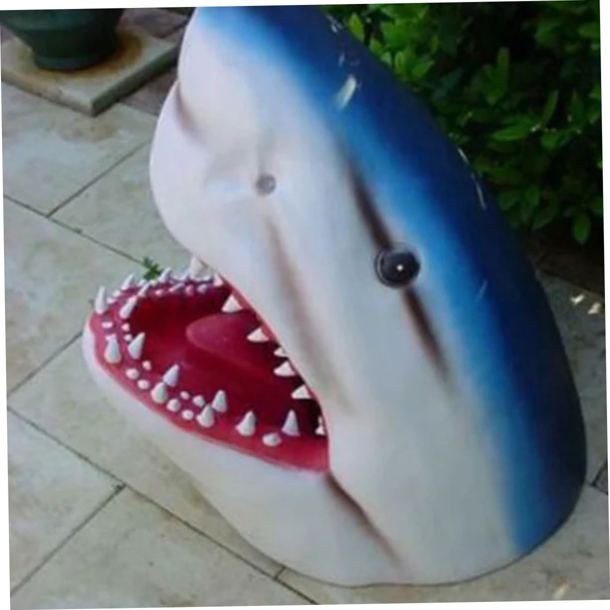 サメの歯　オブジェ　インテリア　ハンティングトロフィー サメの歯オブジェ12000